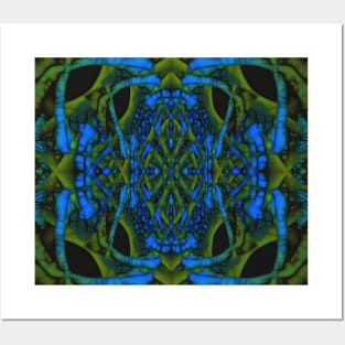 Symmetrical pattern Posters and Art